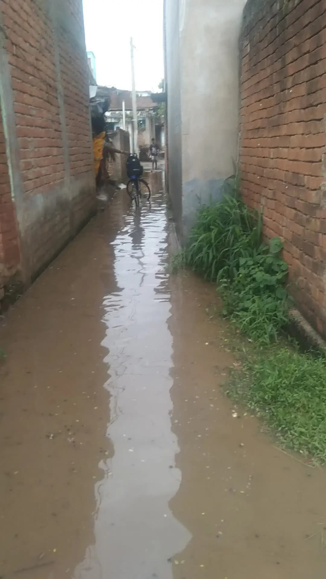 गोड्डा जिला ग्राम नरयानपुर मे विकास नहीं होने पर