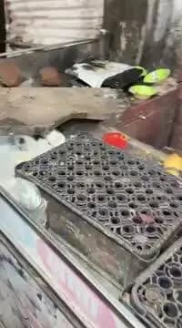 छोटू चोर' और उसके साथियों ने मिठाई दुकान में मचाया उत्पात, पिता-पुत्र को चाकू मारकर किया लहुलूहान; देखें वीडियो