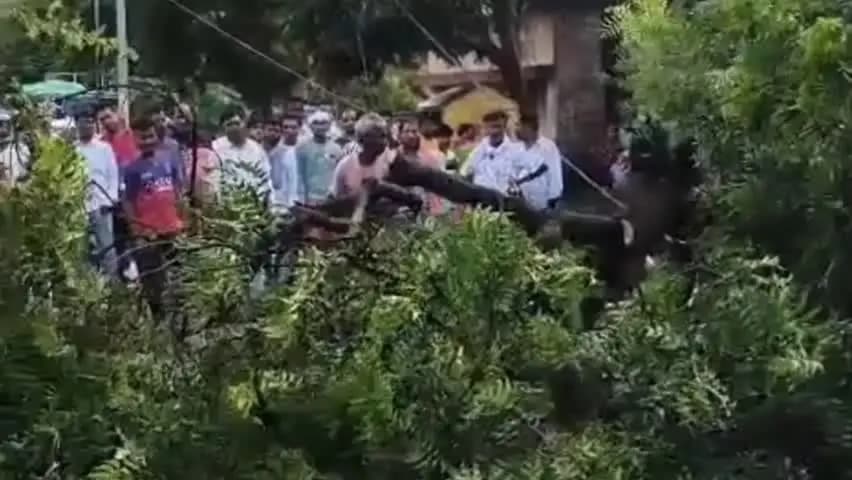 रसड़ा: अब्बासपुर गांव के सामने तेज हवा और बारिश में सड़क पर गिरा पेड़, नगरा-भीमपुरा मार्ग दो घंटे रहा प्रभावित