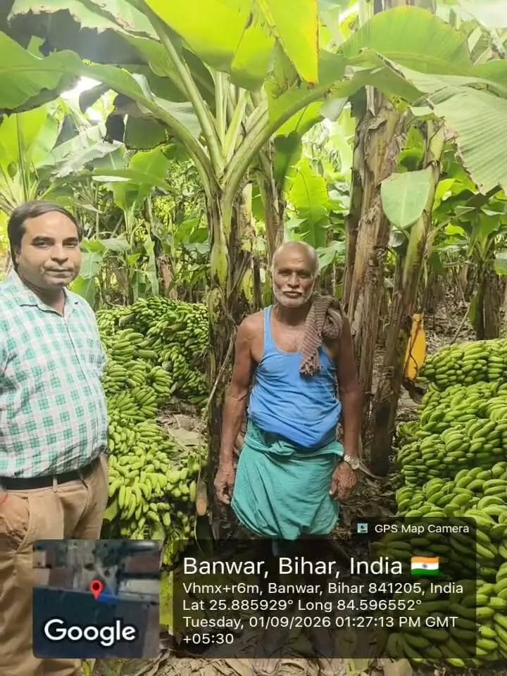 🍌🌱 सरकारी अनुदान का लाभ, केले की खेती से बढ़ी किसान की आमदनी! 🌱🍌
उद्यान निदेशालय द्वारा G-9 केला की खेती के लिए दिए गए सरकारी अनुदान का लाभ लेकर सारण जिले के मांझी प्रखंड के बंगरा गांव निवासी कृषक श्री कामलेन्द्र कुमार जी केले की उन्नत खेती कर अच्छी आमदनी अर्जित कर रहे हैं। 👨🌾💰
आधुनिक तकनीक और बेहतर कृषि पद्धतियों को अपनाकर की जा रही उनकी केले की खेती न केवल उनकी आय बढ़ाने में सहायक बनी है, बल्कि सारण जिले के अन्य किसानों के लिए भी प्रेरणादायक उदाहरण प्रस्तुत कर रही है। 🌿✨
👉 सरकारी योजनाओं का लाभ लें, आधुनिक कृषि अपनाएं और खेती को बनाएं आमदनी का मजबूत जरिया।
#सारण #मांझी #बंगरा #G9केला #केलेकीखेती #उद्याननिदेशालय #कृषक #सरकारीअनुदान #आधुनिककृषि #किसानसशक्तिकरण #कृषिउन्नति #बिहारकृषि