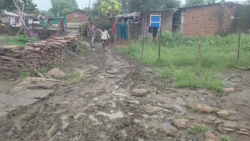 ग्राम पंचायत हरपालपुरा के सारंगपुरा का वीडियो है