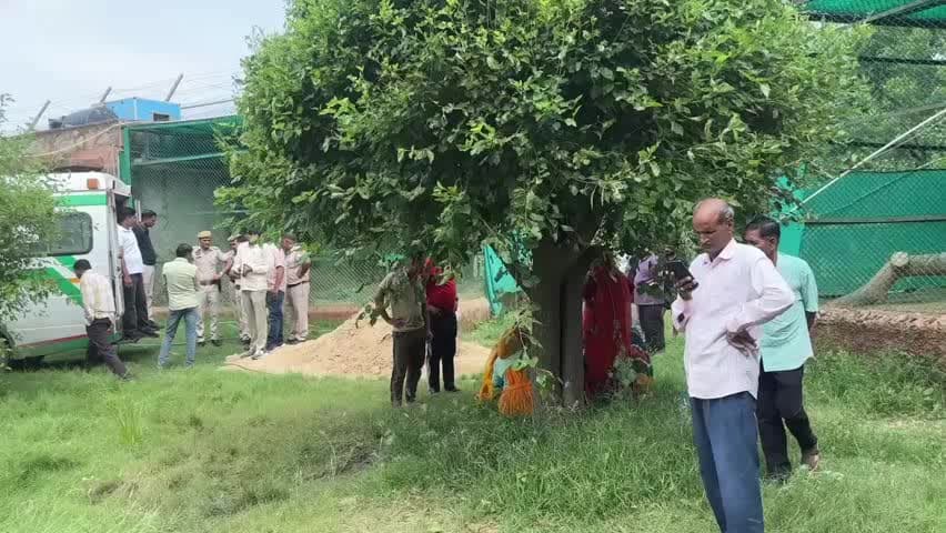 सांगानेर: जयपुर के चिड़ियाघर में घास काटने गई महिला श्रमिक पर टाइगर के हमले से हुई मौत, साथियों का आरोप- जानबूझकर खोला गया पिंजरा