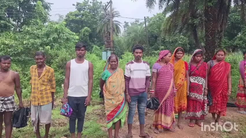 मसलिया: मसलिया के शुग्गापहाड़ी स्थित हरिपुर पहाड़िया टोला के 65 परिवार 3 माह से अंधेरे में