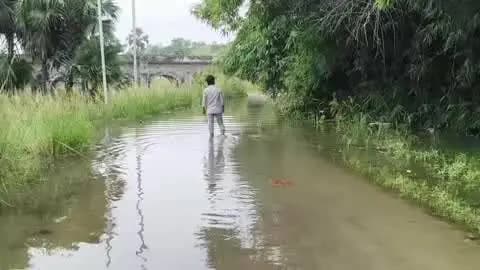 नाथनगर: पुरानी सराय में बाढ़ का पानी सड़क तक पहुंचा, जलस्तर लगातार बढ़ रहा