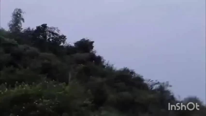 सिरोंज: ममाई माता मंदिर के पीछे जंगल में तेंदुआ दिखा, दहशत का माहौल; विधायक ने सावधानी बरतने की अपील की