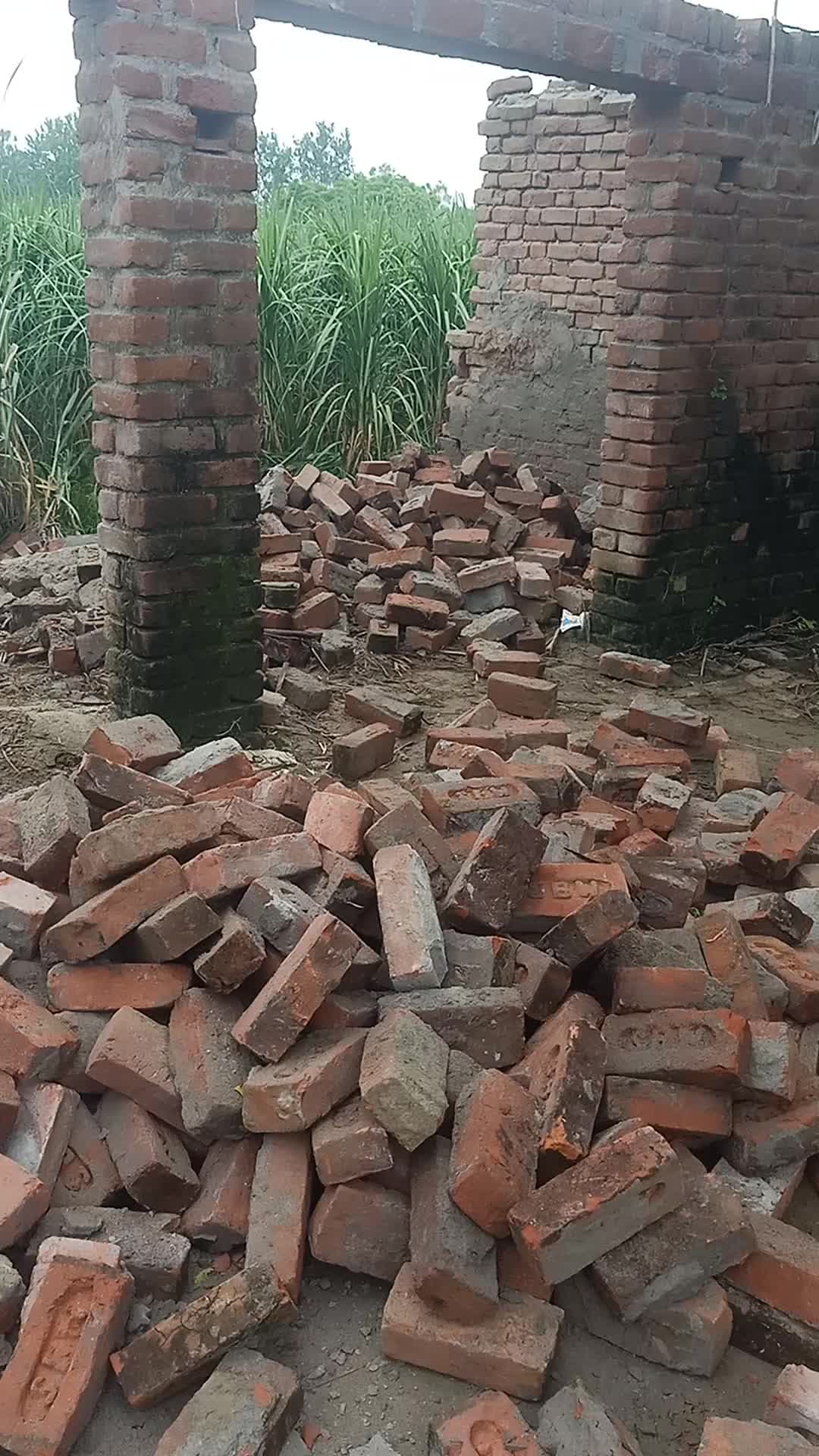 हसनपुर 42 विधानसभा ग्राम सिरसा कला मुस्तकाम के मोमिन s/o अमीरबक्स का
बारिश के चलते घेर की दीवार गिरने से हुआ भारी नुकसान