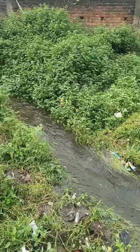 जयनगर ताज मोहल्ला रोड के कंडीशन देखिए