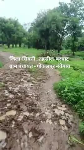 ग्राम पंचायत गोकलपुर नयेगांव