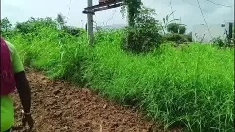 पिंडवाड़ा: भारजा गांव में करंट लगने से लाइनमैन की हुई मौत, सूचना पर पुलिस मौके पर पहुंची