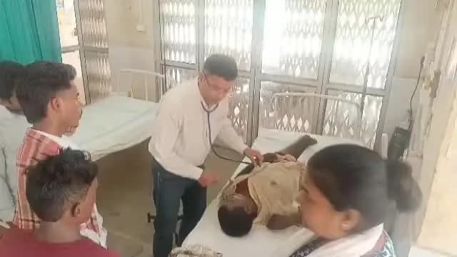 गोविंदपुर: माधोपुर जंगल में बकरी चराने गए बुजुर्ग पर बिरना का कहर, सैकड़ों के झुंड ने किया हमला; एक की मौत, महिला समेत दो घायल