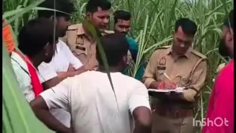 गोला गोकरणनाथ: गोला तहसील क्षेत्र के चंद्पुरा गांव में खेत में हाथ-पैर बंधे मिले दो पशु, बजरंग दल ने थाने में दी तहरीर