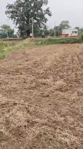#@कटनी बहोरीबंद राजस्व @अधिकारी द्वारा किसानों को किया जा रहा परेशान