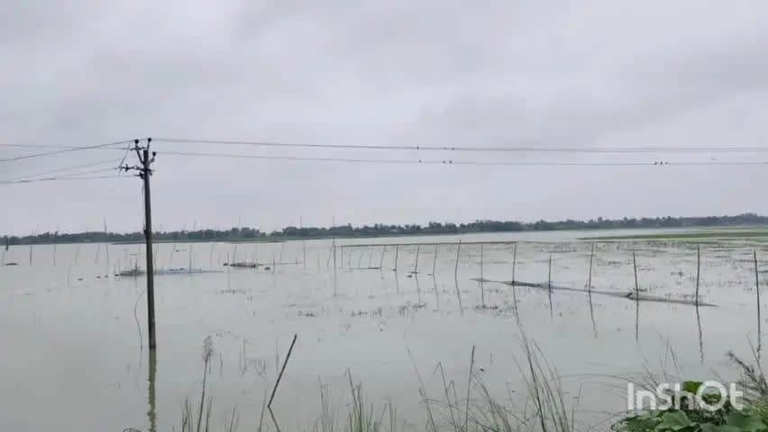 आलमनगर: उदाकिशुनगंज अनुमंडल में बाढ़ का पानी फैला, विधायक सह विधान सभा उपाध्यक्ष ने लिया संज्ञान