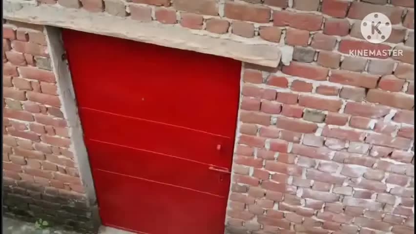 नारनौल: नारनौल में थाने से 100 मीटर दूर गोदाम से चोरों ने ताला तोड़कर सामान चुराया, एक मकान की खिड़की भी उखाड़ी