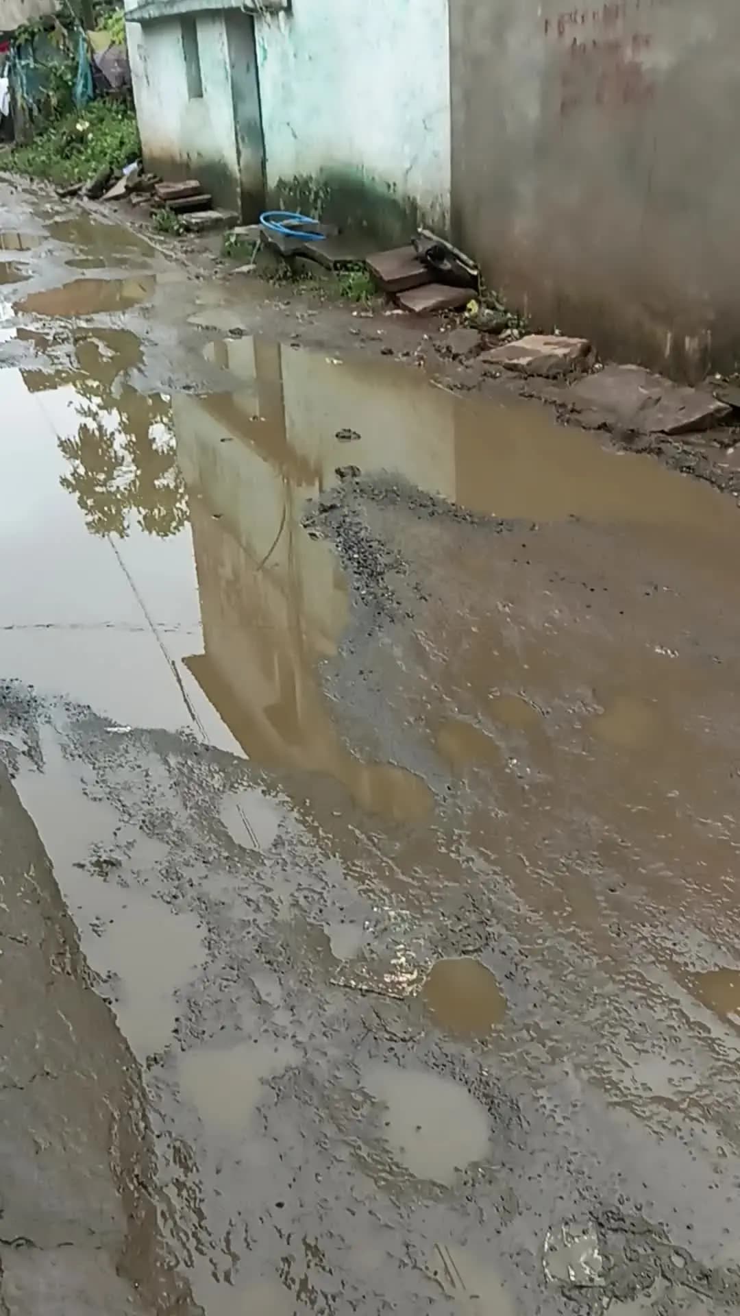 ग्राम पंचायत कछगवादेवरी रोड की हालत बहुत खराब है और कोई भी सुधर नहीं हो पा रहा है10 साल से रोड की हालत खराब है
सरपंच