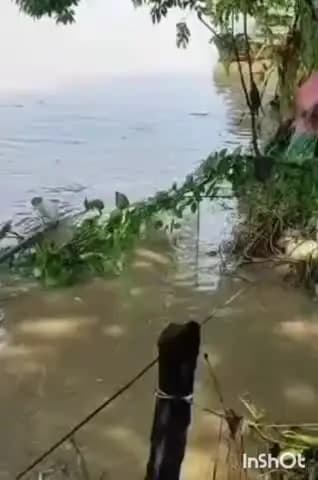 आलापुर: आलापुर में सरयू नदी का जलस्तर बढ़ा, खतरे के निशान के करीब, निचले इलाकों में पहुंचा पानी, प्रशासन ने बढ़ाई निगरानी