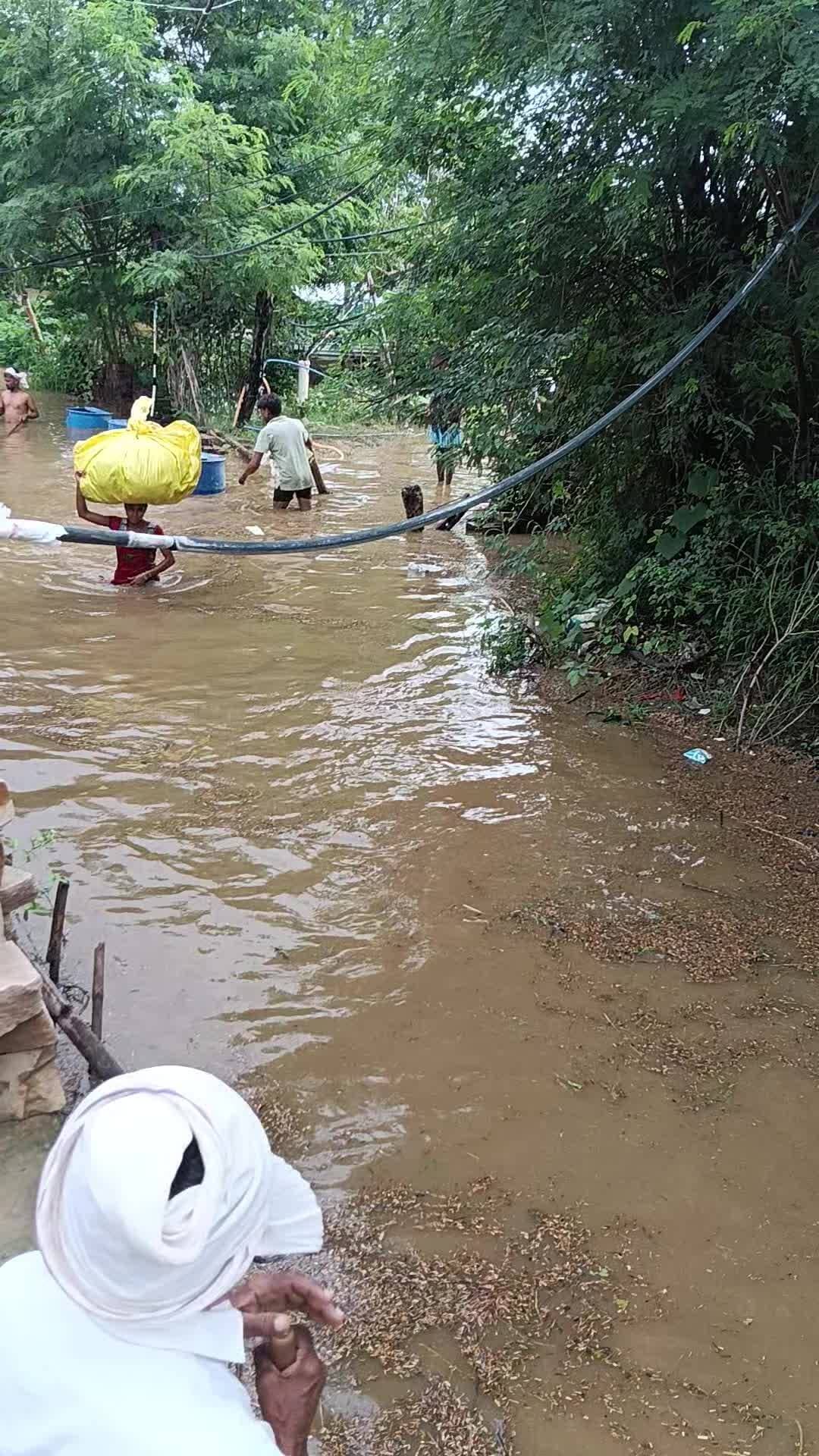 ग्राम निमास में सौं नदी उफान पर घरों में भरा पानी ग्राम वशियों में डर की दहशत