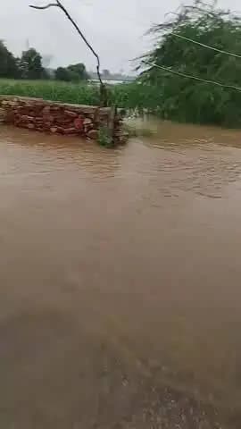आज रात ग्राम माली बजाना में 12:02 बजे के बीच बारिश हो रही थी तो इससे सोन नदी नदी का विशाल रूप देखने को मिला