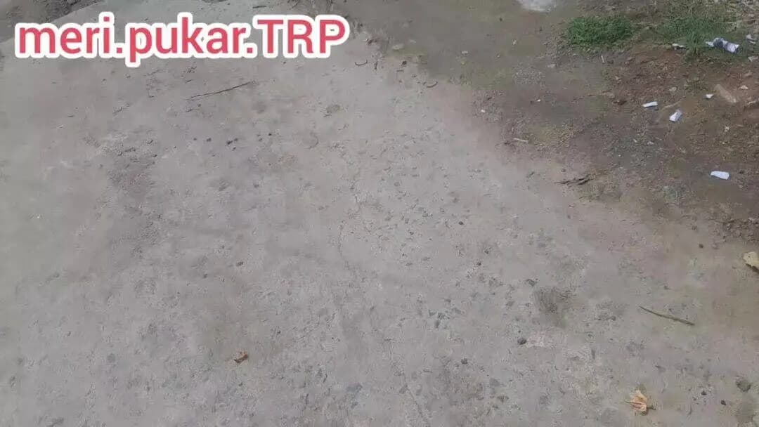 तारापुर नगर पंचायत की स्थिति बद से बदत्तर,कभी भी नगर पंचायत पर्यंवेक्षक नहीं घूमती हैं क्षेत्र!