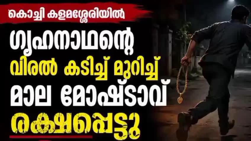 കണയന്നൂർ: പറവൂരിൽ കൈക്കുഞ്ഞുമായി പോയ യുവതി ഉൾപ്പെടെ 3 പേരെ കടിച്ച തെരുവുനായക്ക് പേവിഷബാധ....