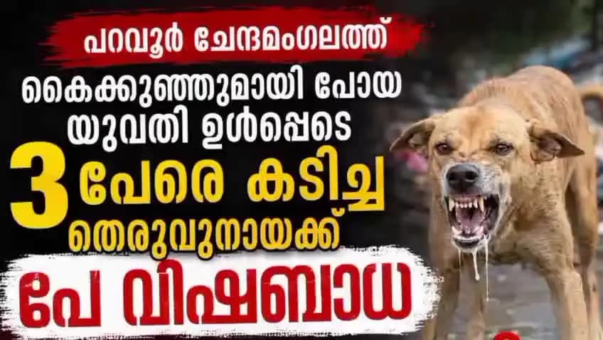 കണയന്നൂർ: പറവൂരിൽ കൈക്കുഞ്ഞുമായി പോയ യുവതി ഉൾപ്പെടെ 3 പേരെ കടിച്ച തെരുവുനായക്ക് പേവിഷബാധ....