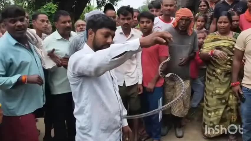 महाराजगंज: मधुबनी में मां-बेटे को करैत ने डसा, बेटे की मौत; परिजन शव को जिंदा होने की आस में गाजीपुर मंदिर ले गए