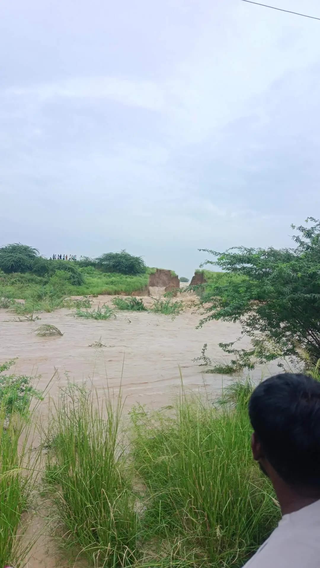 Parsota gav me /bhampuriya ka talab toot gya hai /joura morena