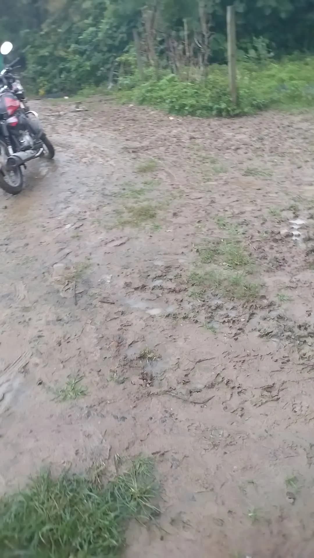 hamri Nagar Parishad se nivedan hai ki hamri jo samsya hai use jaldi se hal kare #