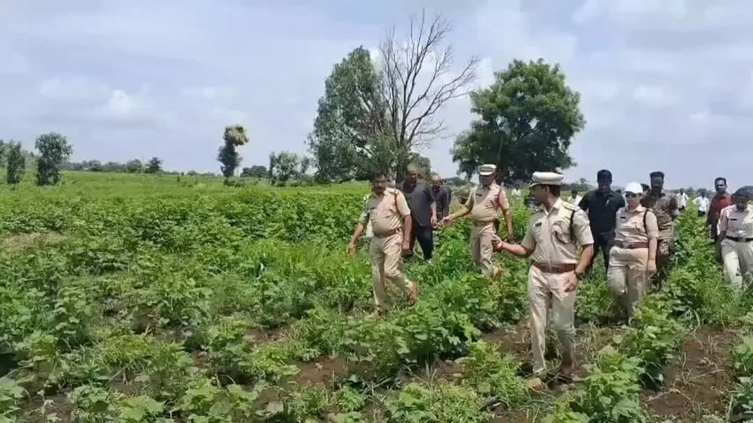 అసిఫాబాద్: సిర్పూర్ మండలంలో 460 గంజాయి మొక్కలు స్వాధీనం.. నలుగురిపై కేసు నమోదు: ఎస్పీ