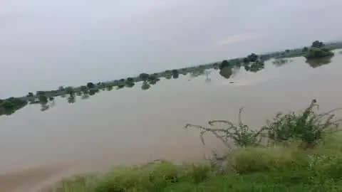 05/09/026 parsota /भगतकपुरा के बीच में तालाब बना हुआ है ये पूर्व विधायक BJP सूबेदार जी के सुपुत्र सूरज प्रताप जी ने बना
