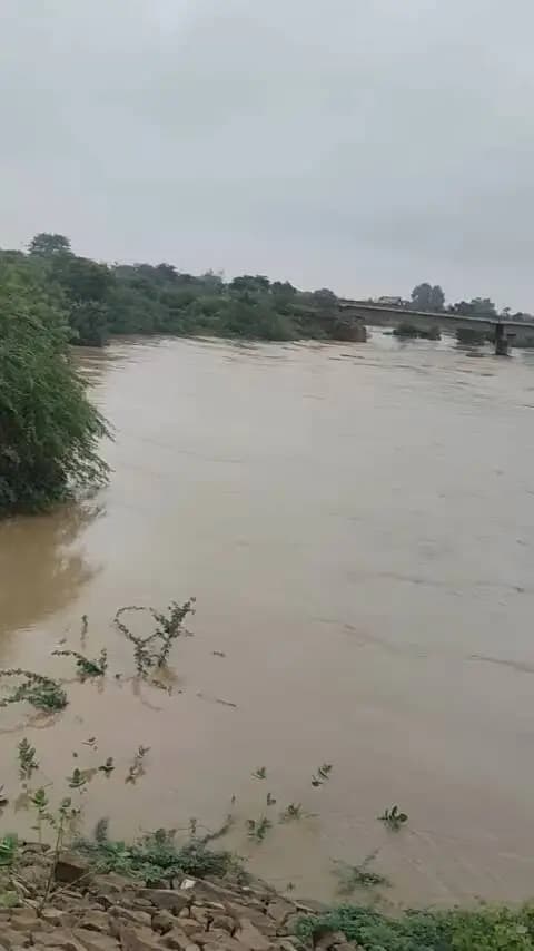 जौरा अगरोता सिकरोदा सोन नदी का भयंकर रोन्द्र रूप 💀😱