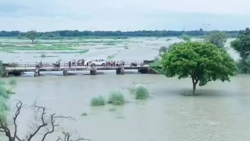 सिराथू: लगातार बारिश से सिराथू इलाके में ससुर खदेरी नदी को मिली कुदरती खूबसूरती, लोग यहाँ सेल्फी और रील्स बना रहे हैं