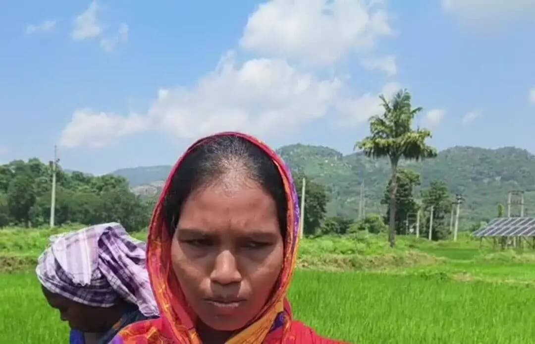 ମୋହନା: ମୋହନା ବ୍ଲକ ଖ୍ରୀଷ୍ଟପୁର ଗାଁ ରେ ବର୍ଷା ଅଭାବ ରୁ ଚାଷୀ ଚାଷ କରିଥିବ ଧାନ ବିଲ ଏବେ ଫାଟି ଆଁ