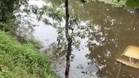 धरियावद: धरियावद के बांसी मार्ग पर सड़क हादसा, पानी में डूबी गाड़ी, बड़ा हादसा टला