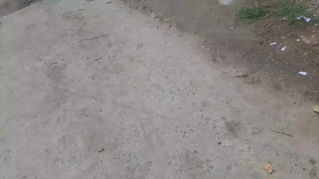 तारापुर नगर पंचायत के पदाधिकारी की मनमानी,कारण हर जगह गंदगी!