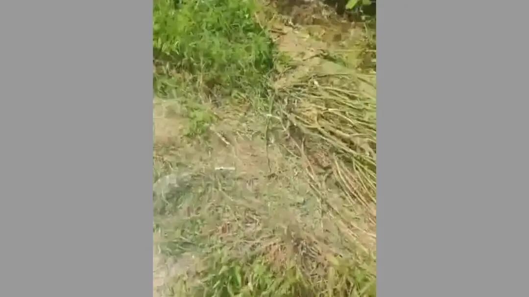 सुल्तानपुर: ट्रालर की टक्कर से प्लाईवुड लदा ट्रक पलटा, चालक और खलासी हुए चोटिल