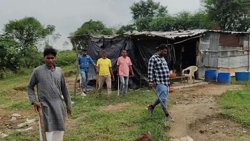 मंदसौर: मंदसौर नरसिंहपुरा में तेंदुए की दहशत, गाय व कई कुत्तों का शिकार; पिंजरा लगाने की मांग