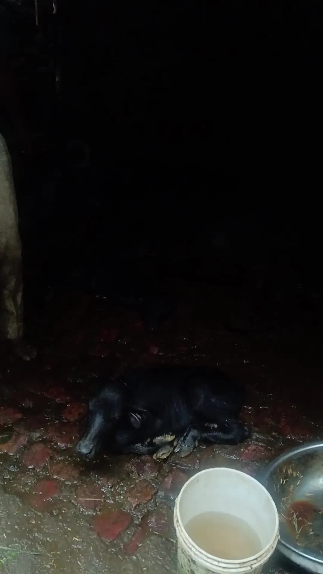 bhains do pahadon se byaai hai gram ghinauna Ramesh Chandra