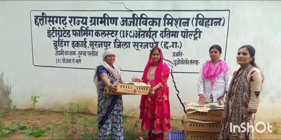 सूरजपुर: शिवनंदनपुर पोल्ट्री पालन से सशक्त हो रहीं महिला किसान दीदियां