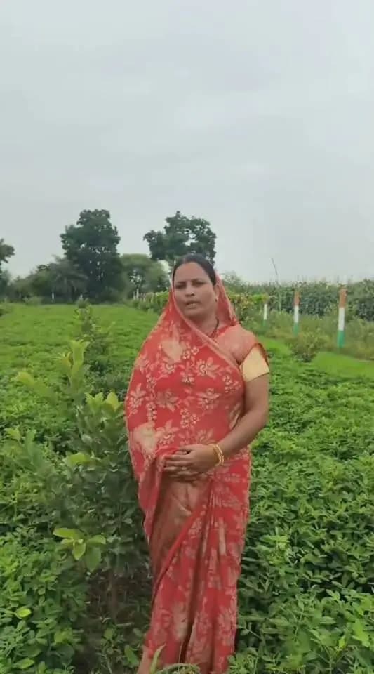 #सफलता_की_कहानी
‘एक बगिया मां के नाम’ से 312 महिलाओं के खेतों में समृद्धि की बगिया
तुलसीबाई ने 100 अमरूद के पौधों से दिखाई आत्मनिर्भरता की राह
नीमच, 6 सितंबर 2026। ग्रामीण महिलाओं को पारंपरिक कृषि के साथ उद्यानिकी से जोड़कर उनकी आजीविका को सशक्त बनाने की दिशा में ‘एक बगिया मां के नाम’ परियोजना प्रभावी पहल साबित हो रही है। पंचायत एवं ग्रामीण विकास विभाग द्वारा विकसित भारत गारंटी का रोजगार एवं आजीविका मिशन ग्रामीण (वीबी-जी राम जी) के अंतर्गत संचालित इस परियोजना के माध्यम से महिला स्वयं सहायता समूहों की सदस्यों को अपने खेतों में फलदार पौधों की बगिया विकसित करने के लिए प्रोत्साहित किया जा रहा है।
नीमच जिले में कलेक्टर श्री हिमांशु चंद्रा एवं मुख्य कार्यपालन अधिकारी जिला पंचायत श्री अमन वैष्णव के मार्गदर्शन में परियोजना का प्रभावी क्रियान्वयन किया जा रहा है। गत वर्ष जिले में 312 महिला स्वयं सहायता समूह सदस्यों के खेतों में 100-100 फलदार पौधों का रोपण किया गया।
अमरूद की बगिया बनी आत्मनिर्भरता की मिसाल
विकासखंड जावद के ग्राम पंचायत मोडी की महिला स्वयं सहायता समूह सदस्य एवं कृषि सखी श्रीमती तुलसीबाई मेघवाल ने योजना का लाभ उठाकर अपने खेत में पिंक ताइवान अमरूद के 100 पौधे लगाए। पौधों की सुरक्षा के लिए खेत के चारों ओर वायर फेंसिंग तथा सिंचाई के लिए जल कुंड की व्यवस्था की। बागवानी के साथ अंतरवर्ती फसल के रूप में सोयाबीन, मूंगफली और अलसी की खेती कर उन्होंने अतिरिक्त उत्पादन भी प्राप्त किया।
परियोजना के अंतर्गत पौधों के रोपण एवं देखभाल संबंधी कार्यों के लिए तुलसीबाई को 42 हजार रुपये की मजदूरी प्राप्त हुई है। वहीं वायर फेंसिंग,पोल, दवाई एवं पौधों से संबंधित कार्यों के लिए 54 हजार रुपये के भुगतान की प्रविष्टि वीबी-जी राम जी पोर्टल पर दर्ज की गई है।
एक महिला की पहल से जुड़ीं 14 अन्य महिलाएं
तुलसीबाई ने योजना का लाभ स्वयं लेने के साथ गांव की अन्य महिलाओं को भी इससे जोड़ने की पहल की। उनके प्रयासों से ग्राम की 14 अन्य महिला स्वयं सहायता समूह सदस्यों के यहां भी बगिया परियोजनाएं स्वीकृत हुई हैं। ग्राम मोदी में नींबू, अमरूद, संतरा और सीताफल की बगिया विकसित की जा रही हैं।
मुख्यमंत्री डॉ. मोहन यादव के प्रति व्यक्त किया आभार
तुलसीबाई मेघवाल ने मुख्यमंत्री डॉ. मोहन यादव के प्रति आभार व्यक्त करते हुए कहा कि शासन की जनकल्याणकारी योजनाओं से ग्रामीण महिलाओं को अपने खेत में ही रोजगार और आय के नए अवसर मिल रहे हैं। उन्होंने कहा कि ‘एक बगिया मां के नाम’ परियोजना महिलाओं को आत्मनिर्भर बनाने के साथ उनकी आजीविका को स्थायी रूप से मजबूत करने की दिशा में महत्वपूर्ण पहल है।
‘एक बगिया मां के नाम’ परियोजना के माध्यम से खेती के साथ उद्यानिकी को बढ़ावा देकर ग्रामीण महिलाओं के लिए अतिरिक्त आय, स्थानीय रोजगार और दीर्घकालिक आजीविका के नए अवसर सृजित हो रहे हैं। तुलसीबाई मेघवाल की पहल इसका जीवंत उदाहरण है कि सरकारी योजनाओं का प्रभावी क्रियान्वयन और हितग्राहियों की सक्रिय भागीदारी ग्रामीण अर्थव्यवस्था को नई दिशा दे सकती है।
CM Madhya Pradesh
Jansampark Madhya Pradesh
Panchayat, Rural Development and Social Welfare Department of Madhya Pradesh
#Neemuch
#नीमच
