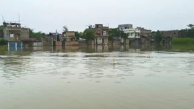 जिला पदाधिकारी बेगूसराय श्री रिची पांडेय के द्वारा बछवाड़ा प्रखंड के बिशनपुर पंचायत में बाढ़ संबंधित निरीक्षण किया गया।
IPRD Bihar
#begusarai