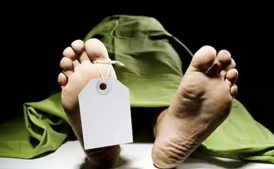 धाराशिव: अंबेजवळगा: पिकआपने वृद्धाला मागून धडक दिल्याने उपचारादरम्यान मृत्यू