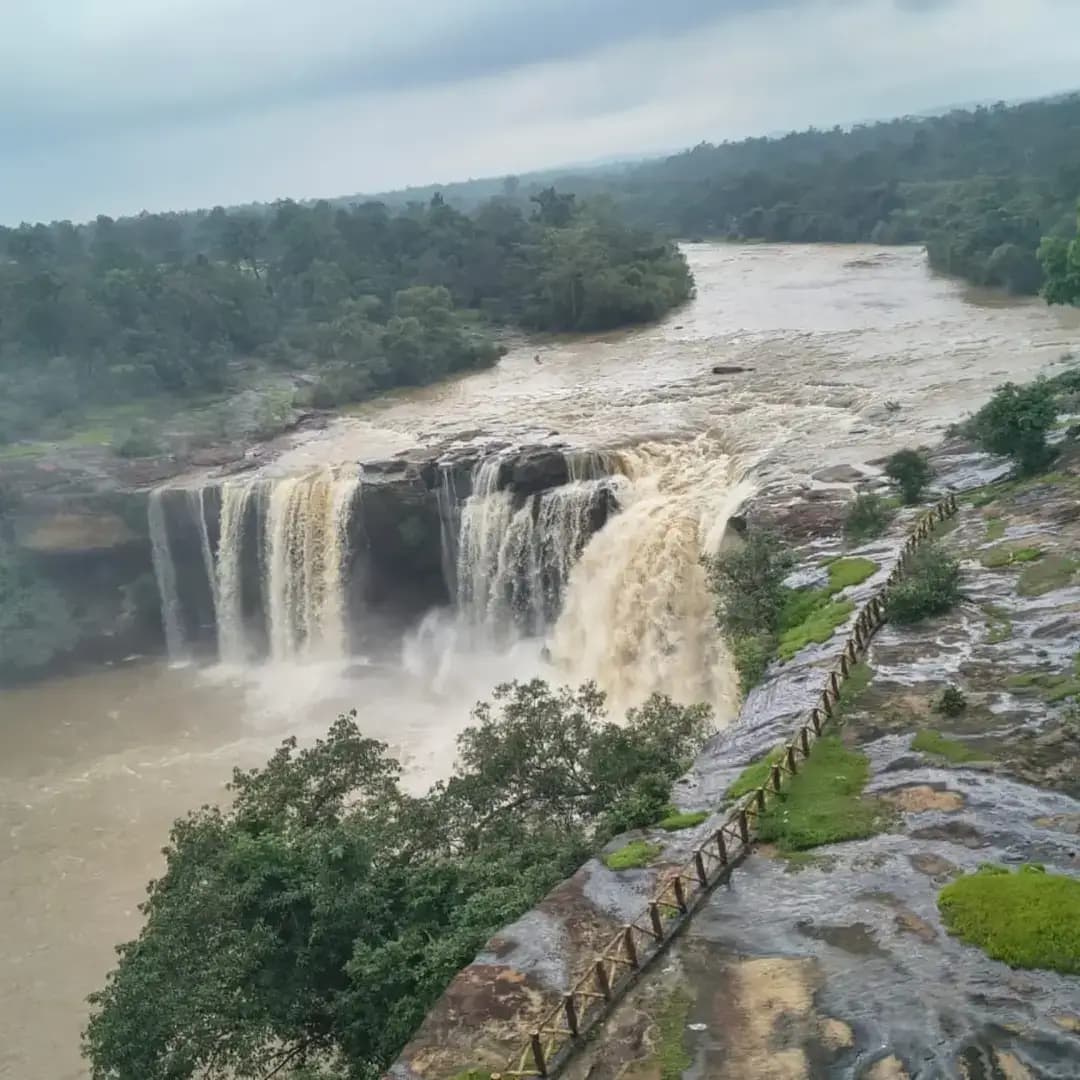 🌿 गौरघाट का दूधिया जलप्रपात बना आकर्षण का केंद्र 💦
बारिश के मौसम में जंगलों और पहाड़ों के बीच गौरघाट जलप्रपात की मनमोहक खूबसूरती पर्यटकों को रोमांचित कर रही है। कलेक्टर श्रीमती रोक्तिमा यादव ने गौरघाट पहुंचकर प्राकृतिक सौंदर्य का आनंद लिया और पर्यटकों से सुरक्षित यात्रा, स्वच्छता एवं प्रकृति संरक्षण का विशेष ध्यान रखने की अपील की।
🌱 प्रकृति को निहारें, संवारें और आने वाली पीढ़ी के लिए हरियाली बचाएं।