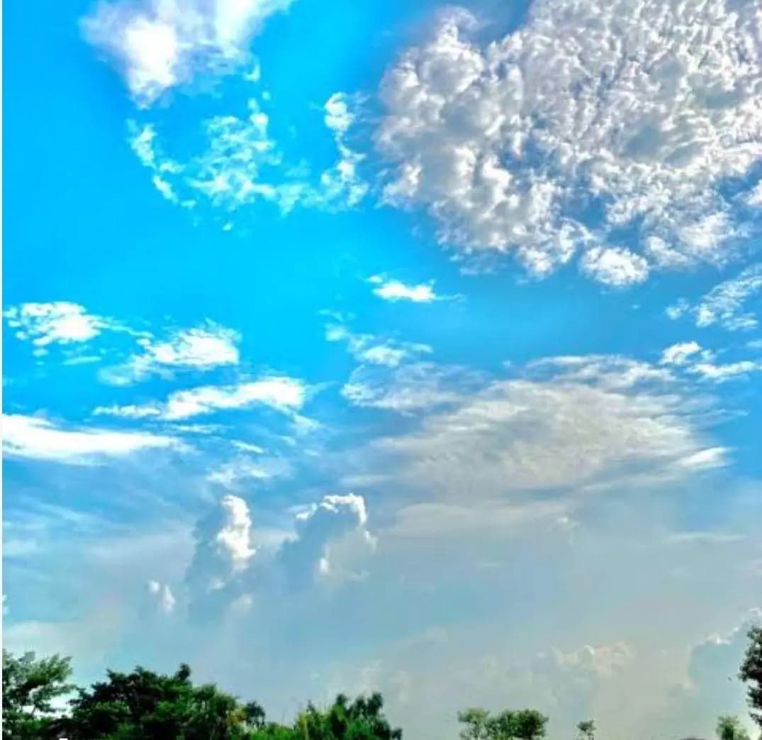 पिपलोदा: रतलाम में कम बारिश से चिंतित किसानों ने मनाई इंद्रदेव पूजा, दाल-बाटी चूरमे का भोग लगाया