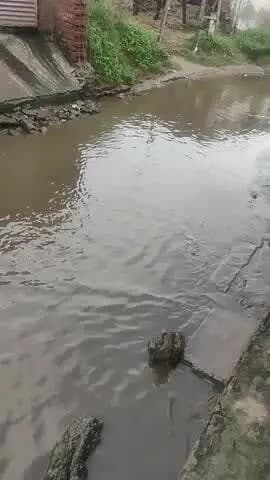 harkanpur mein sadak per kafi Dinon Se Pani bhara hua Hai Koi sunvaee nahin Ho Rahi Hai log pareshan hai nikalne ke liye