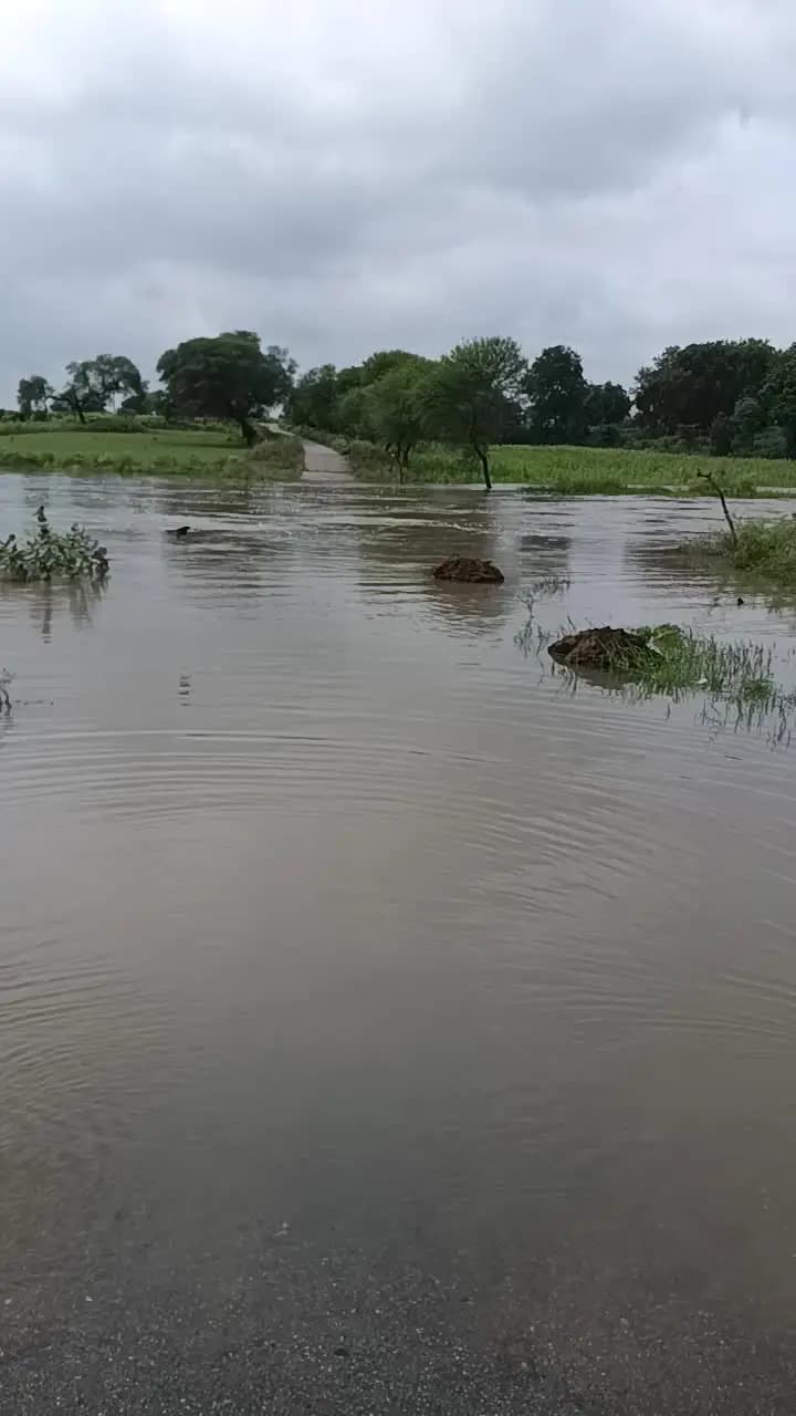 gram baisora datia m.p.@@