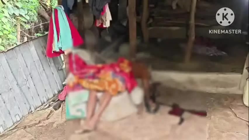 बटियागढ़: बटियागढ़ थाना क्षेत्र के पिपरोधा गाँव में व्यक्ति की हत्या, युवती घायल; दामाद पर आरोप
