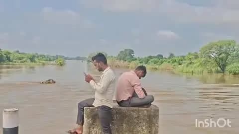सेपउ: सैपऊ पार्वती पुल पर युवा सेल्फी लेते समय अपनी जान को जोखिम में डाल रहे हैं
