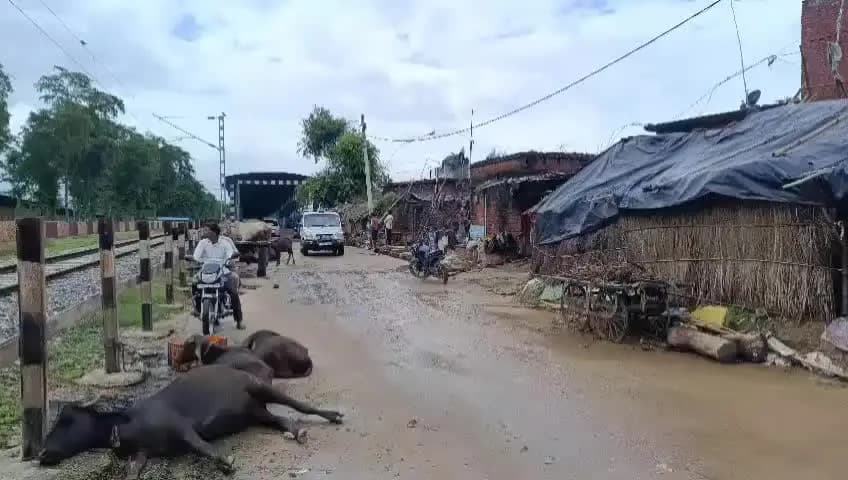 बीसलपुर: भोगापुर गांव के पास से बहने वाली नदी से तीसरे दिन विकास का शव बरामद हुआ