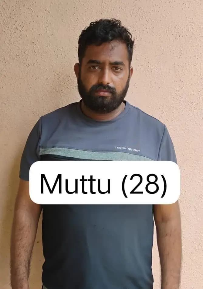 ಕಡಬ: ಉಪ್ಪಿನಂಗಡಿ: ಹೆದ್ದಾರಿಯಲ್ಲಿ ಡೀಸೆಲ್ ಕಳವು ಮಾಡುತ್ತಿದ್ದ ಇಬ್ಬರ ಬಂಧನ
